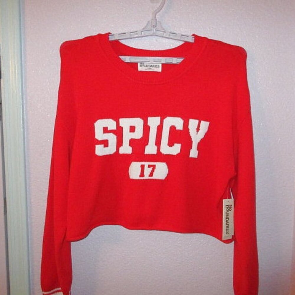 Spicy 17 Crop Sweater XL Preppy Red Knit Pullover Long Sleeves Cheer 90s Y2K NWT